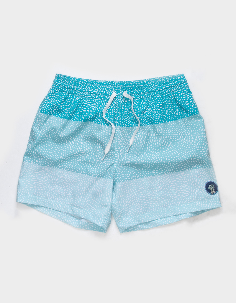 CHUBBIES Lined Classic Mens 5.5'' Swim Trunks image number 0