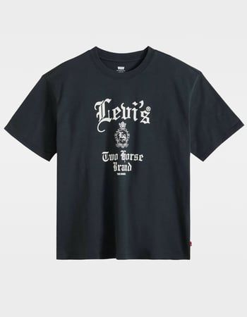 LEVI'S Gothic Mens Boxy Tee Primary Image