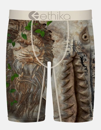 ETHIKA Bomber In Stone Staple Mens Boxer Briefs Primary Image