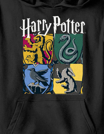 HARRY POTTER All Houses Unisex Kids Hoodie Alternative Image