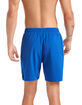 NIKE Solid Mens Royal Boardshorts image number 5