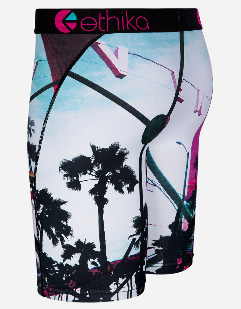 ETHIKA V Nice Staple Mens Boxer Briefs image number 1