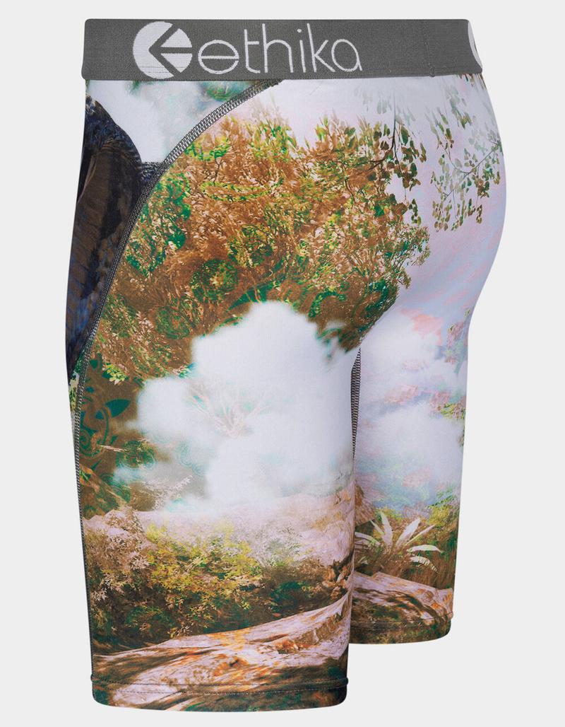 ETHIKA You Good? Mens Boxer Briefs image number 1