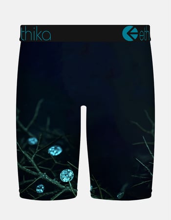 ETHIKA Death's Treasure Staple Mens Boxer Briefs Alternative Image