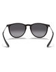 RAY-BAN Erika Sunglasses image number 4