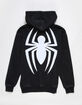 CVLA x Marvel Spider-Man Sigil Boys Hoodie image number 1
