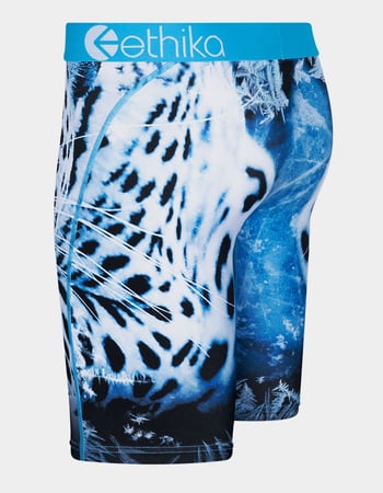 ETHIKA Snow Force Staple Boys Boxer Briefs Alternative Image