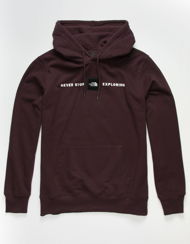 THE NORTH FACE Reds Mens Burgundy Hoodie image number 0