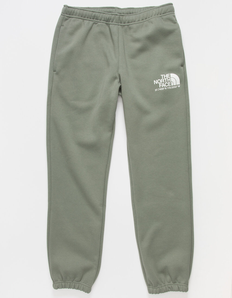THE NORTH FACE Coordinates Mens Sage Sweatpants image number 0