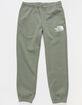 THE NORTH FACE Coordinates Mens Sage Sweatpants image number 1