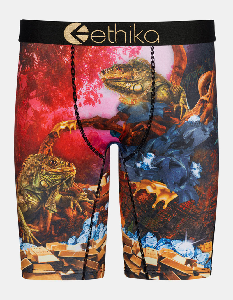 ETHIKA Dreams Of Bounty Boys Boxer Briefs image number 0