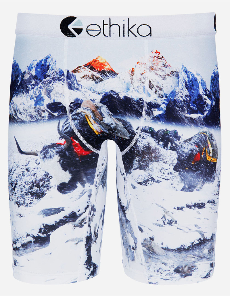 ETHIKA Yakity Yak Staple Boys Underwear image number 0