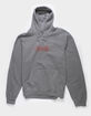 BDG Urban Outfitters Grey Natures Mens Fleece Hoodie image number 1