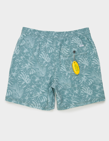 Men S Volley Shorts Tillys