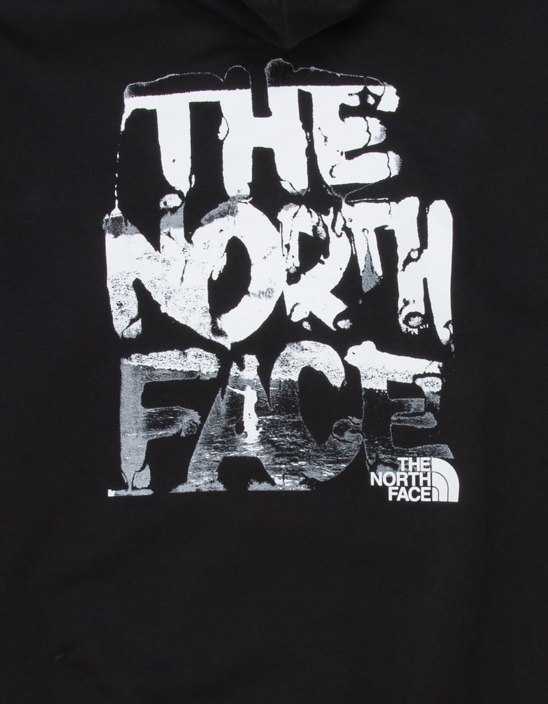 THE NORTH FACE Evolution Nature Mens Hoodie image number 2