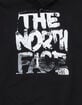 THE NORTH FACE Evolution Nature Mens Hoodie image number 3