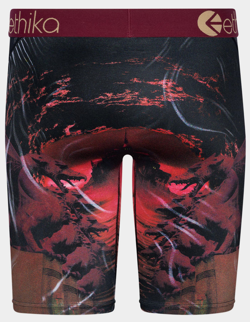 ETHIKA Dark Paradise Staple Mens Boxer Briefs image number 2