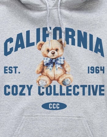 BEAR Cozy Collective Unisex Hoodie Alternative Image