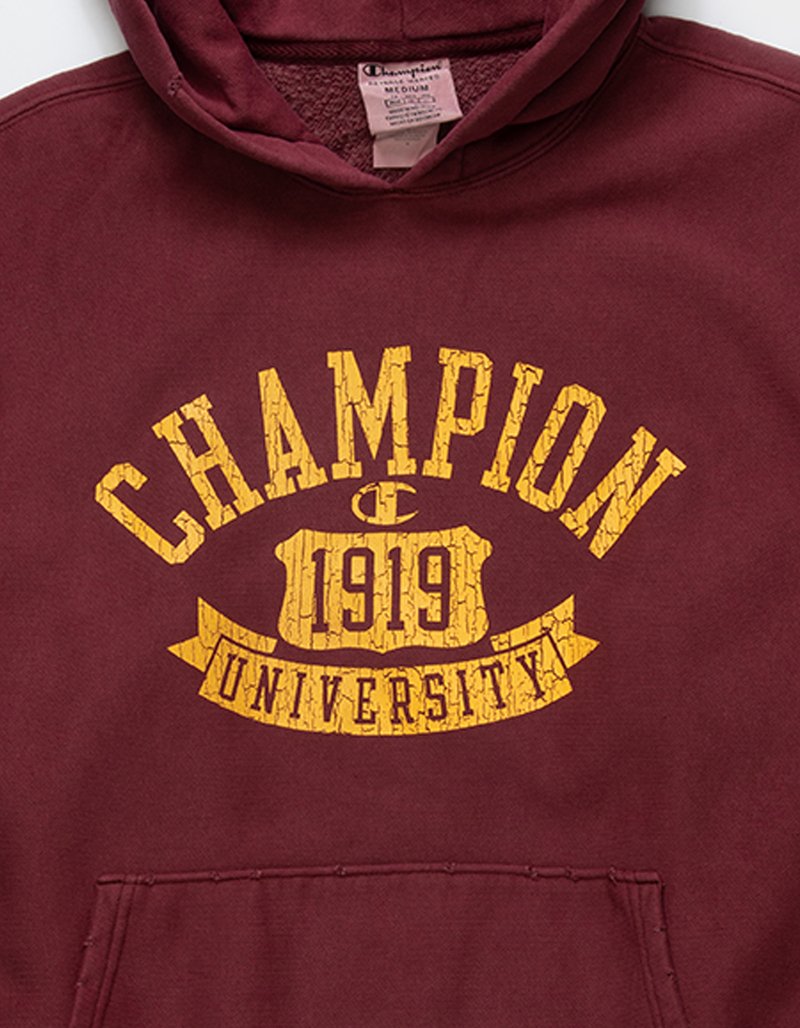 CHAMPION Time Capsule Mens Hoodie image number 1