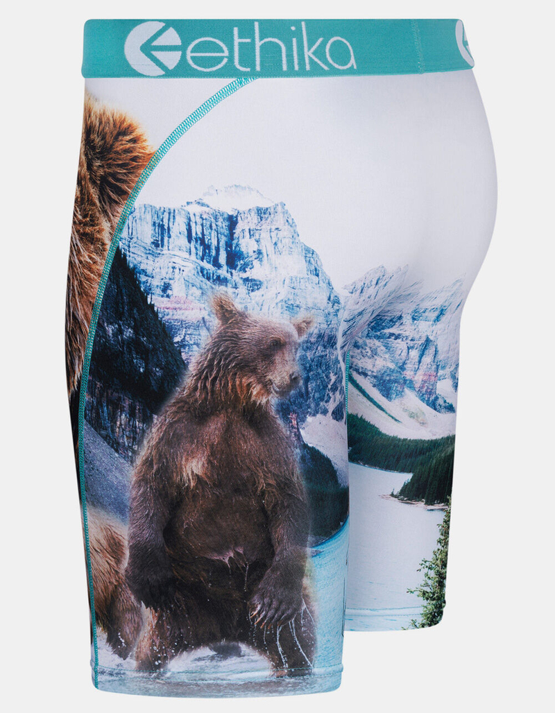 ETHIKA Brother Bears Mens Boxer Briefs image number 1