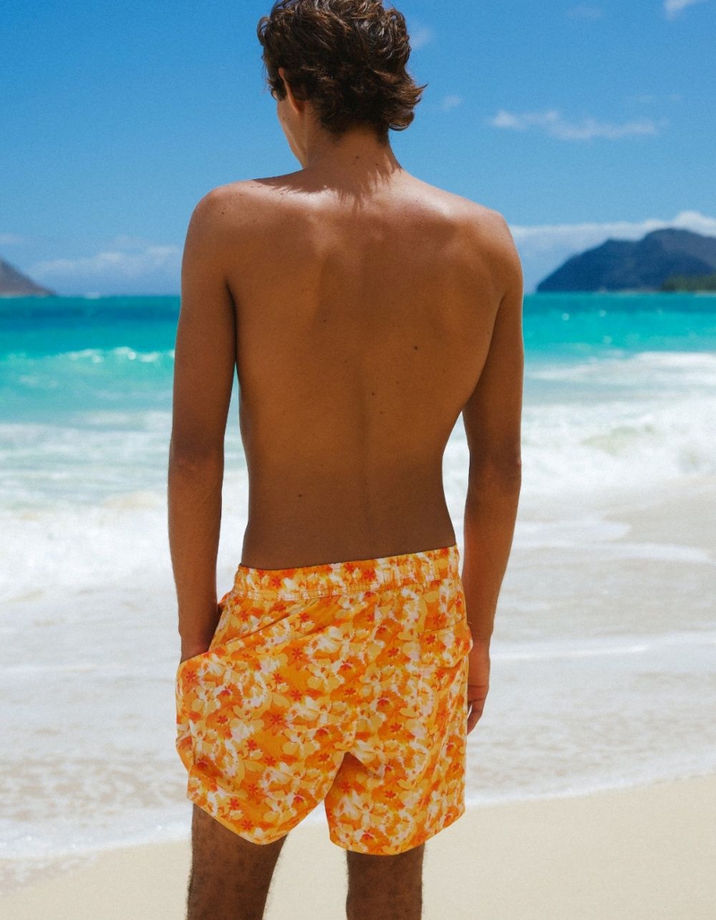 DIPPIN' DAISY'S Ken Mens Swim Shorts image number 2