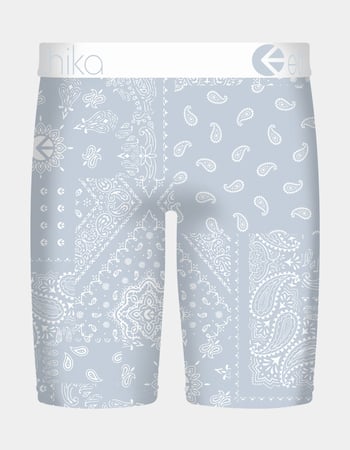 ETHIKA Ice Paisley Staple Boys Boxer Briefs Alternative Image