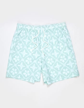 RSQ Mens 6.5" Swim Trunks Alternative Image
