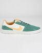 NIKE SB Team Classic Bicoastal & Celestial Gold Shoes image number 1