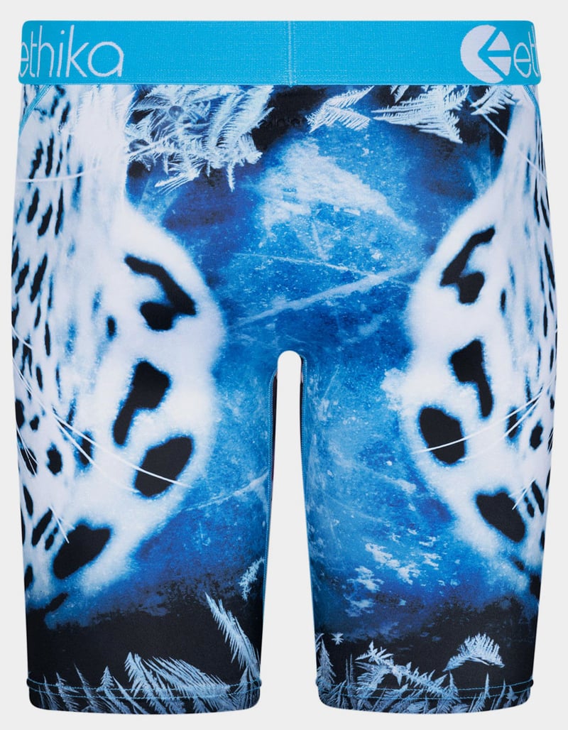 ETHIKA Snow Force Staple Mens Boxer Briefs image number 2