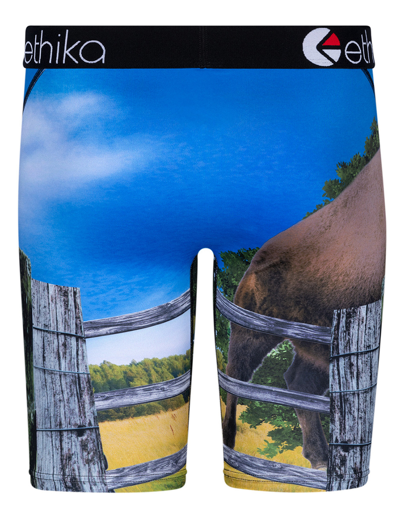 ETHIKA x Rick Ross Bustin Buffalo Staple Boys Boxer Briefs image number 2