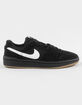 NIKE SB Code 58 Mens Shoes image number 1