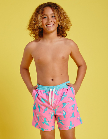 CHUBBIES The Toucan Do Its Boys 5.5'' Volley Shorts Primary Image