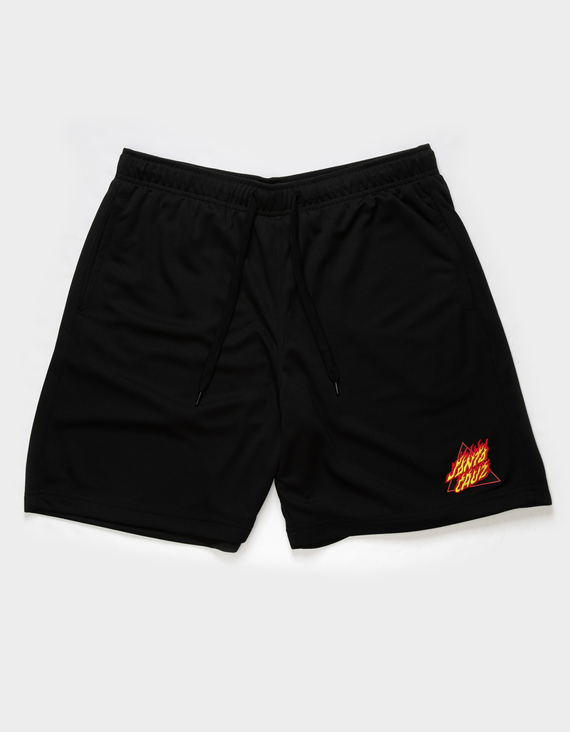 Santa Cruz Flamed Not A Dot T-Shirt