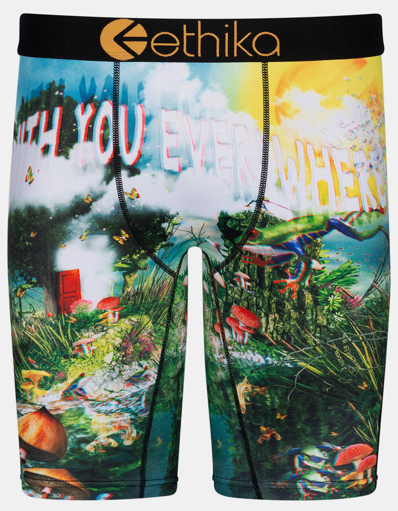 ETHIKA Life's A Trip 3D Mens Boxer Briefs image number 0