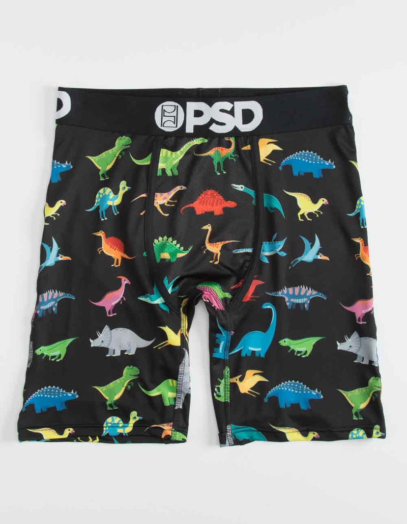 PSD x Sommer Ray Dinos Mens Boxer Briefs image number 0