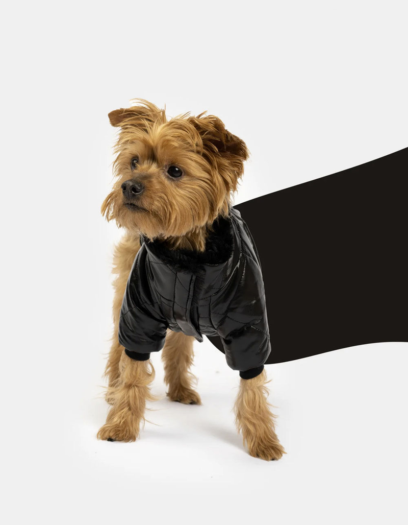 SILVER PAW Phoenix Dog Jacket image number 4