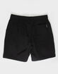 SANTA CRUZ Flame Strip Mens Volley Shorts image number 2