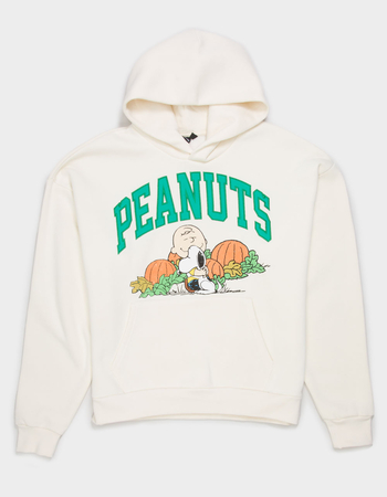 RSQ x Peanuts Pumpkins Mens Hoodie Primary Image