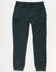 VOLCOM Brea Boys Fleece Pants image number 2