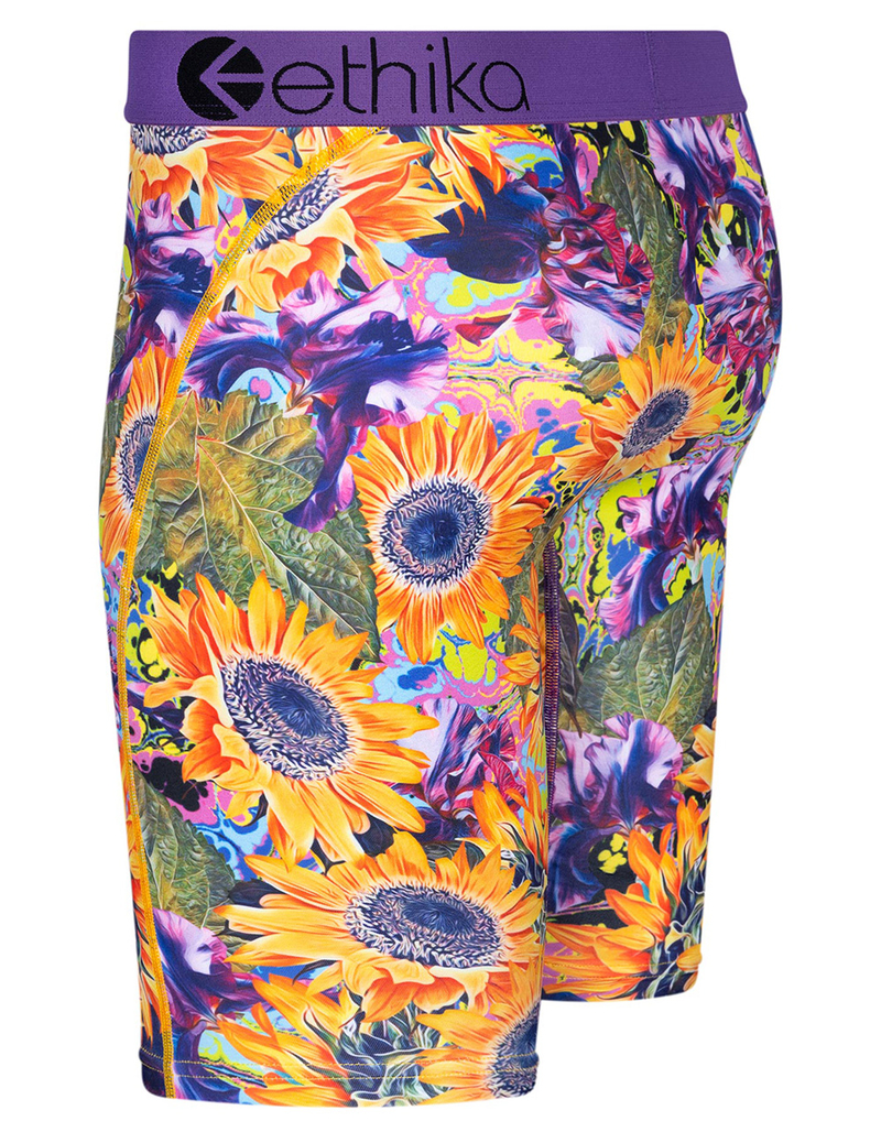 ETHIKA Sunny Daze Staple Mens Boxer Briefs image number 1