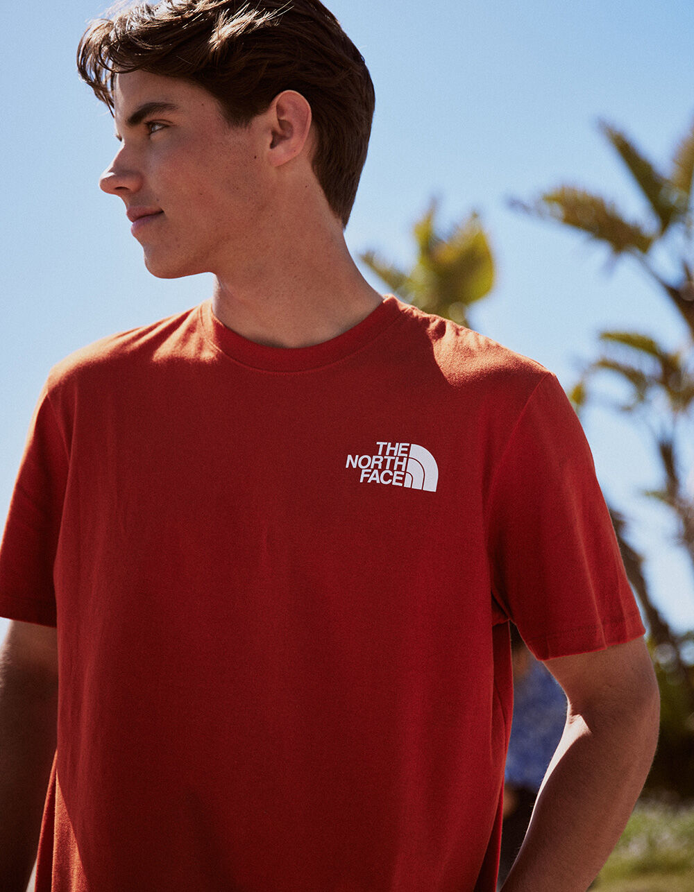 Zoomed in image of THE NORTH FACE Box NSE Mens Tee Image: 5