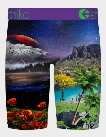 ETHIKA The Flight Mens Boxer Briefs Alternative Image