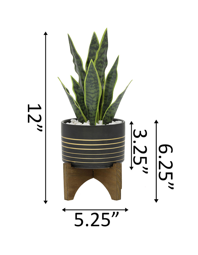 FLORA BUNDA Snake Plant Black Pot image number 1