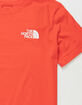 THE NORTH FACE NSE Box Mens T-Shirt image number 4