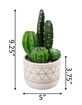 FLORA BUNDA Cactus Garden Pot image number 2