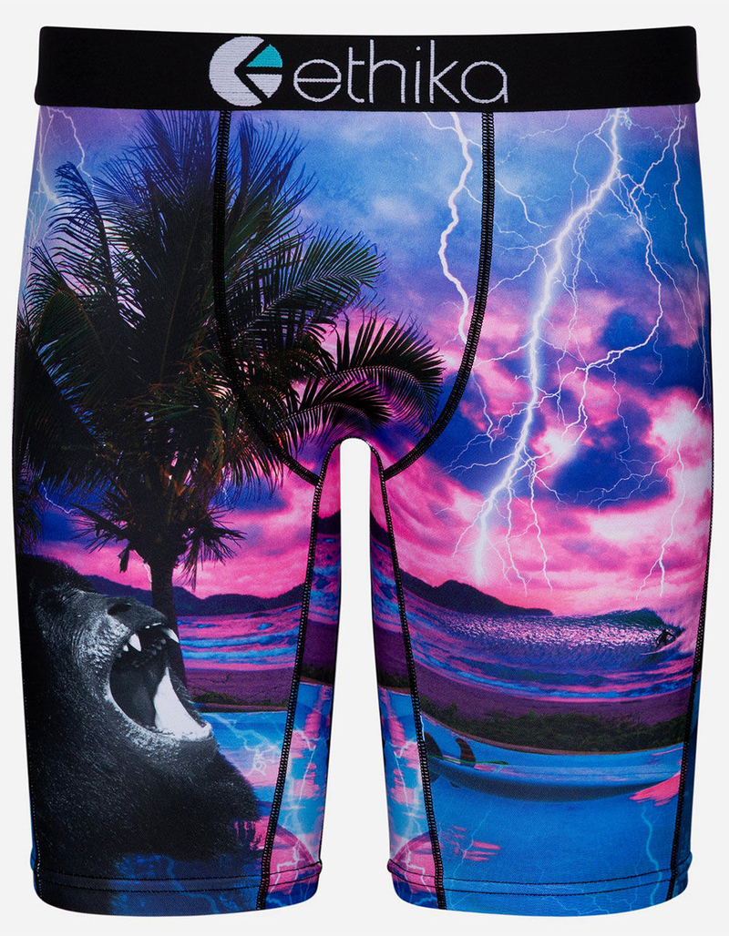 ETHIKA Down Daze Staple Mens Boxer Briefs image number 0
