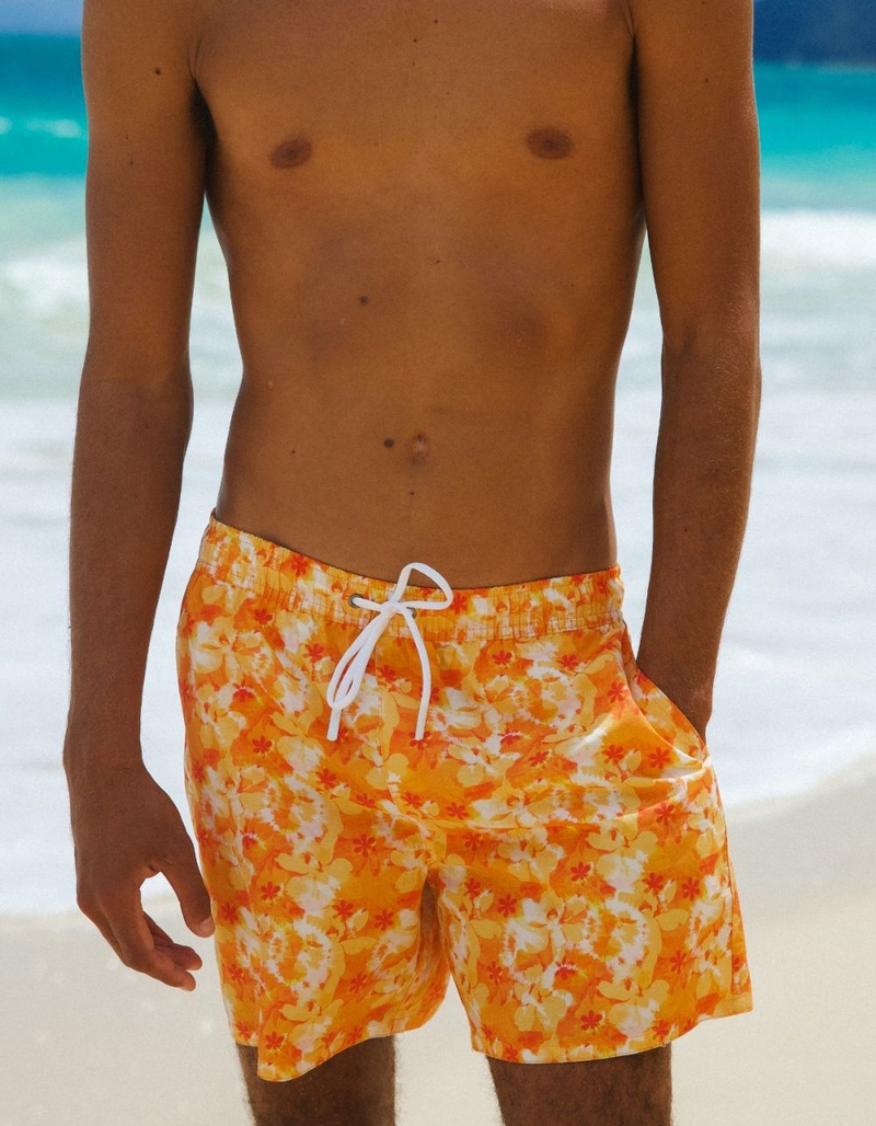 DIPPIN' DAISY'S Ken Mens Swim Shorts image number 3