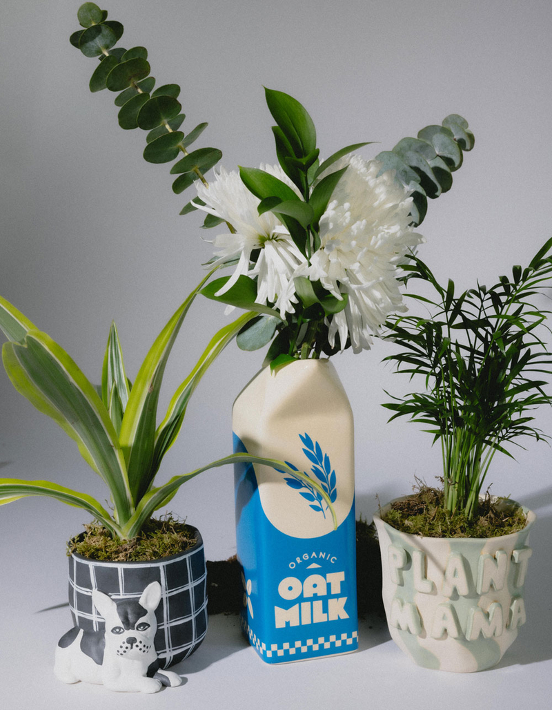 Pampered Pet Pot Frenchie image number 5