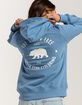 THE NORTH FACE TNF Bear Womens Hoodie image number 2