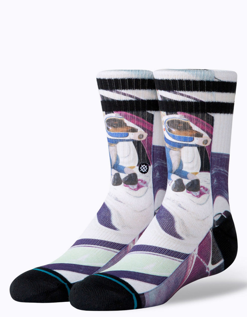 STANCE Astrodog Kids Crew Socks image number 0